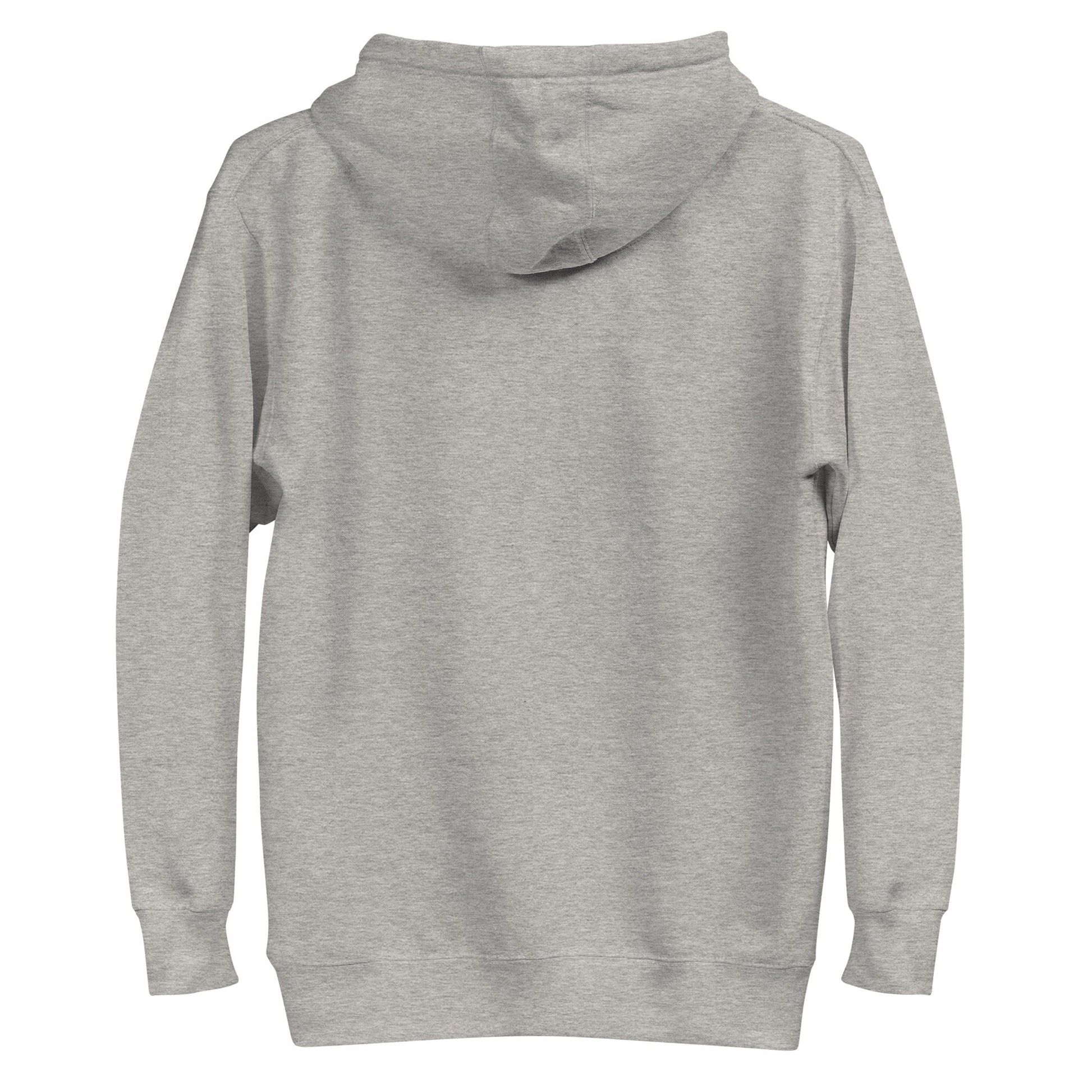 APE CHESS Hoodie in Sports Grey - Rarileto - Back View