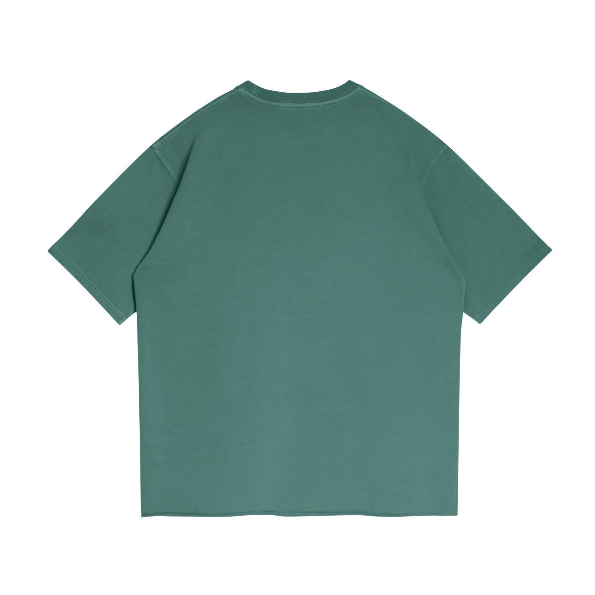 ATIEVE Unisex Faded Raw Hem T-Shirt in Vintage Green - Rarileto - Back View