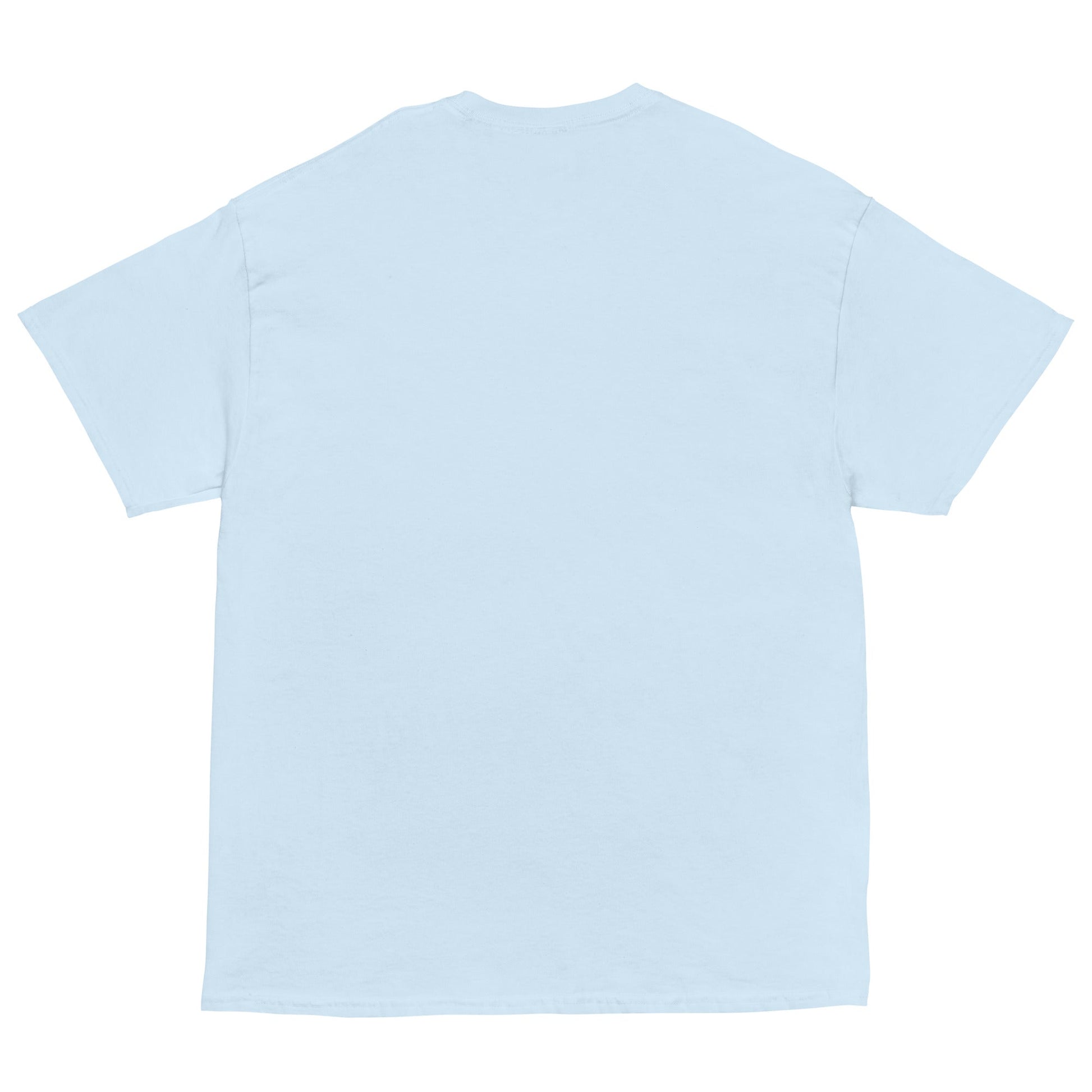 BIG & SMALL CATS Classic T-Shirt in Light Blue - Rarileto - Back View