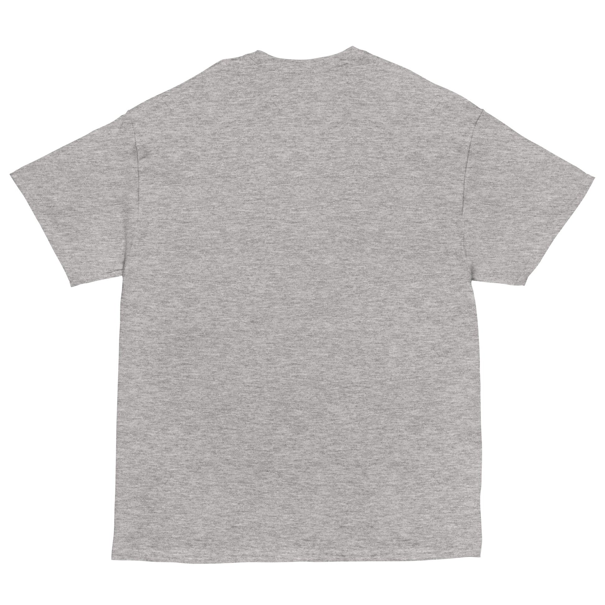 BIG & SMALL CATS Classic T-Shirt in Sports Grey - Rarileto - Back View