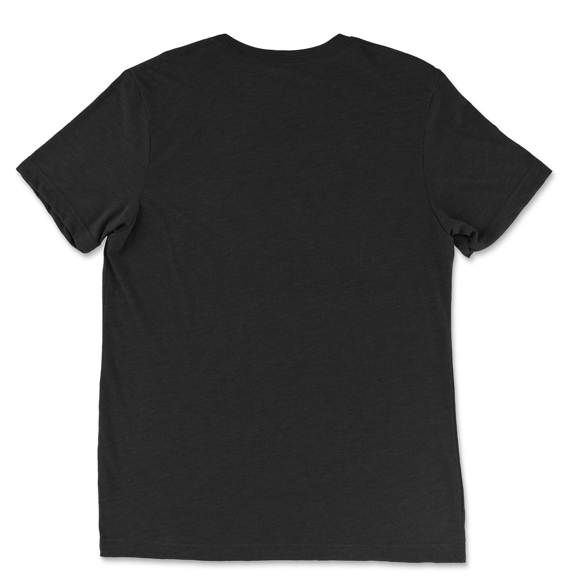 Back view of the Colibri Triblend T-Shirt in solid black triblend, showcasing a relaxed, modern fit. Rarileto.