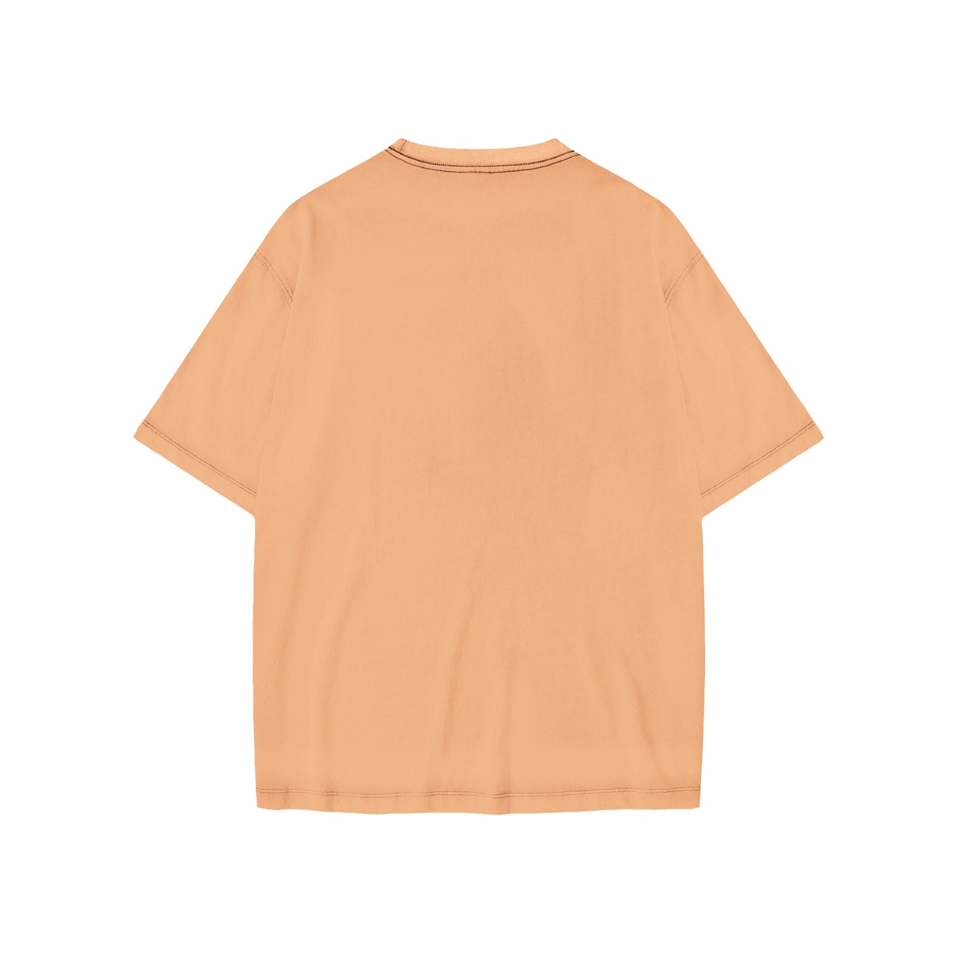 FLIPPED Unisex Loose Basic Tee - Rarileto - Alluring Apricot - Back View