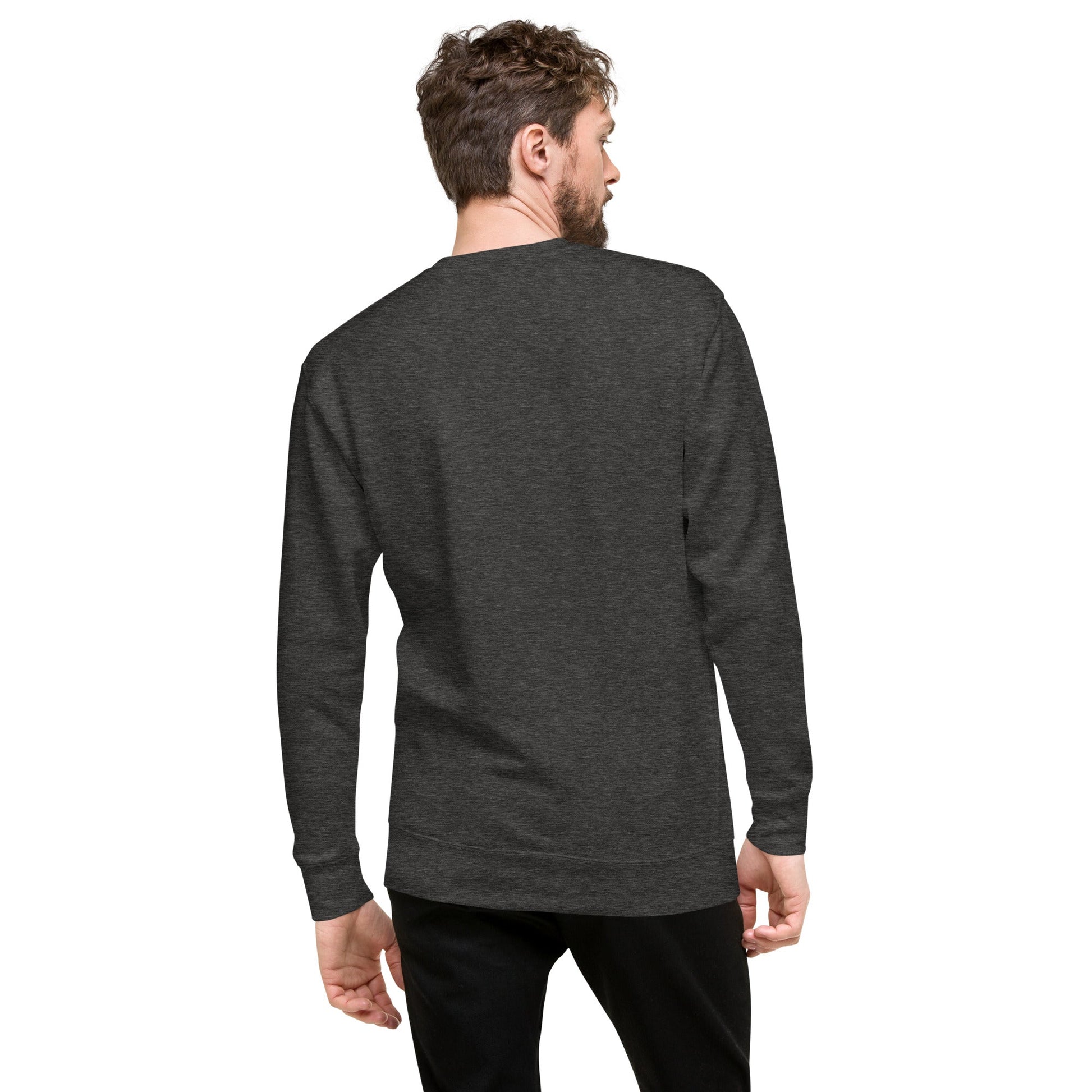 Male Model Back: FUTURISTIC ROBOT BIRD Sweatshirt in Charcoal Heather on Male Model