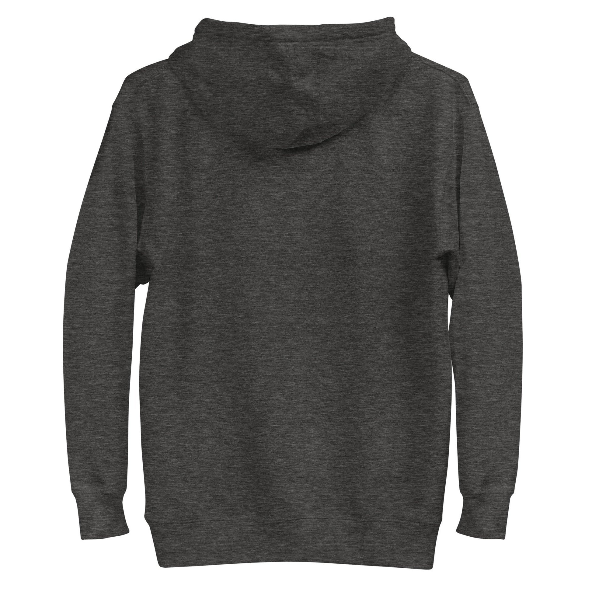 GROOVY MARTIAN DANCE PARTY Hoodie in Charcoal Heather - Rarileto - Back Ghost View