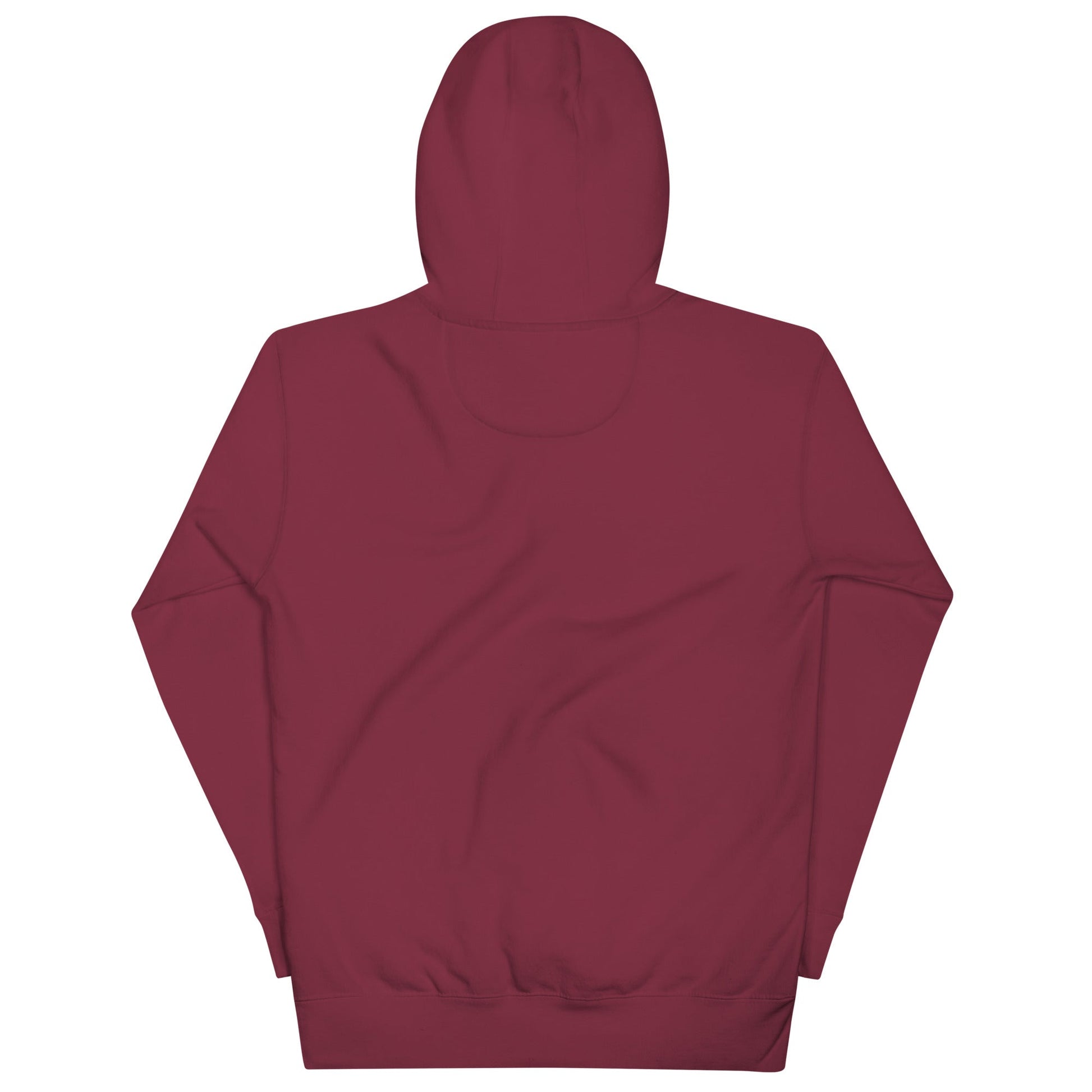 GROOVY MARTIAN DANCE PARTY Hoodie in Maroon - Rarileto - Back View