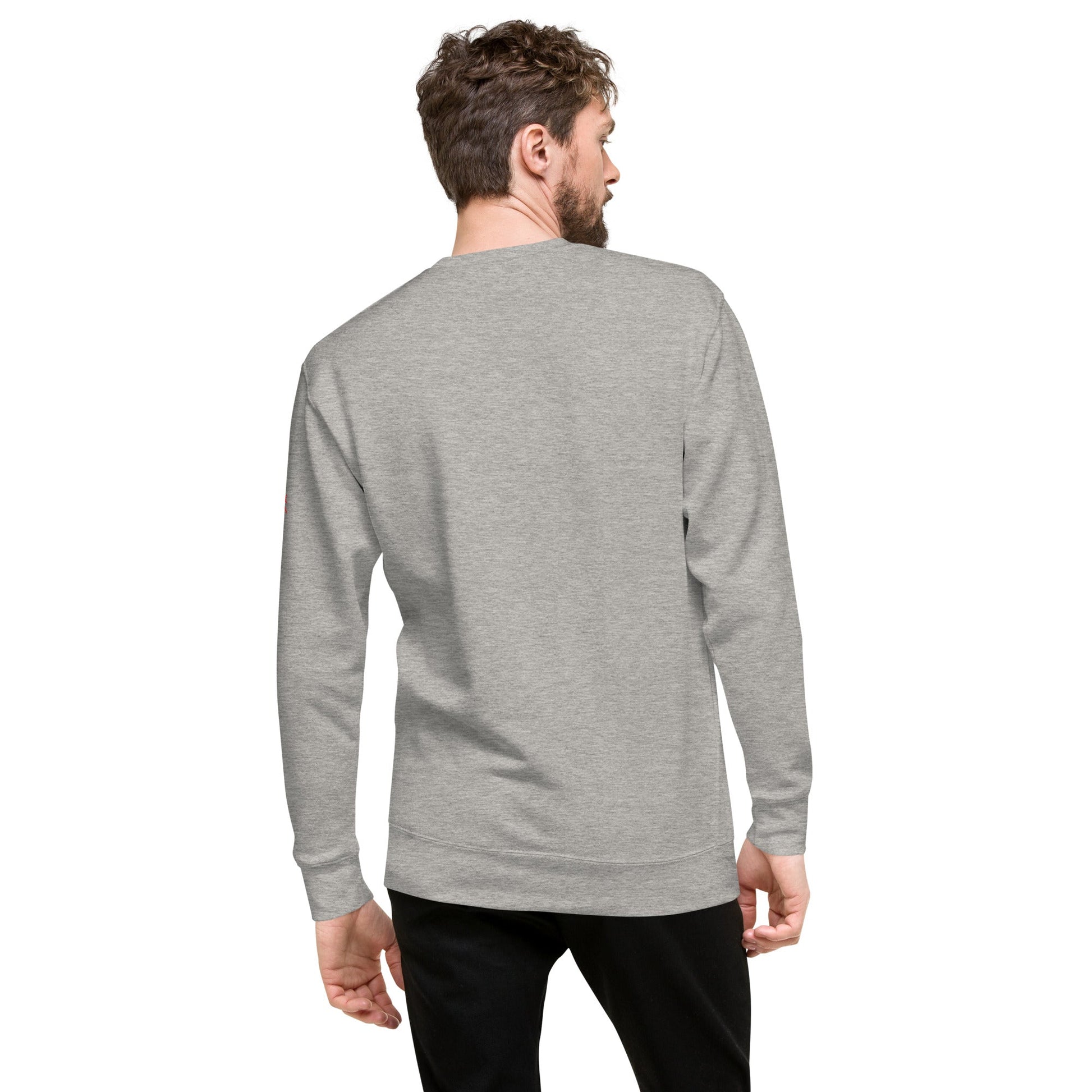 Male Model Back: ROBOT ANGEL Sweatshirt in Gray on Male Model